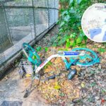 Ting Kok Road, Locobike 《I》