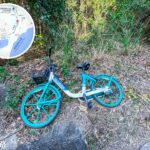 Ting Kok Road, Locobike 《II》