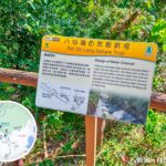 Pat Sin Leng Nature Trail, Drainage Design