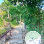 Pat Sin Leng Nature Trail 《I.1》