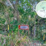 Pat Sin Leng Nature Trail, Wild Grass Observation Point