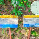Pat Sin Leng Nature Trail, Plover Cove Reservoir – Information Board