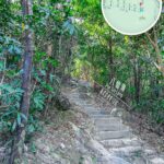 Climbing the steps《III》