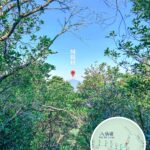 Distant Peak – Shun Yeung Fung