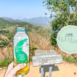 仙姑峰《山上 • 品茶》