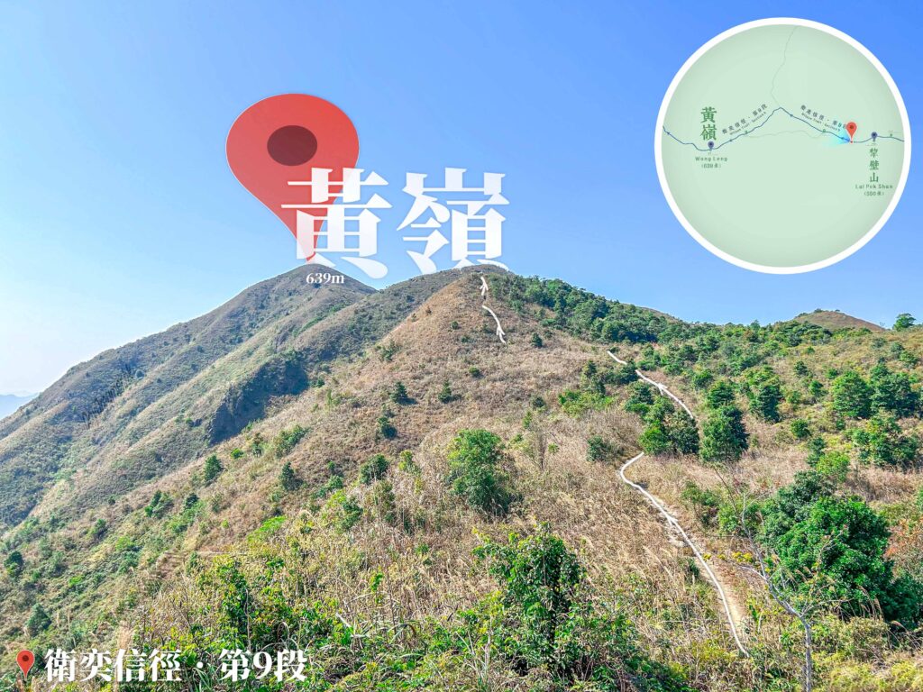 仰望 • 黃嶺