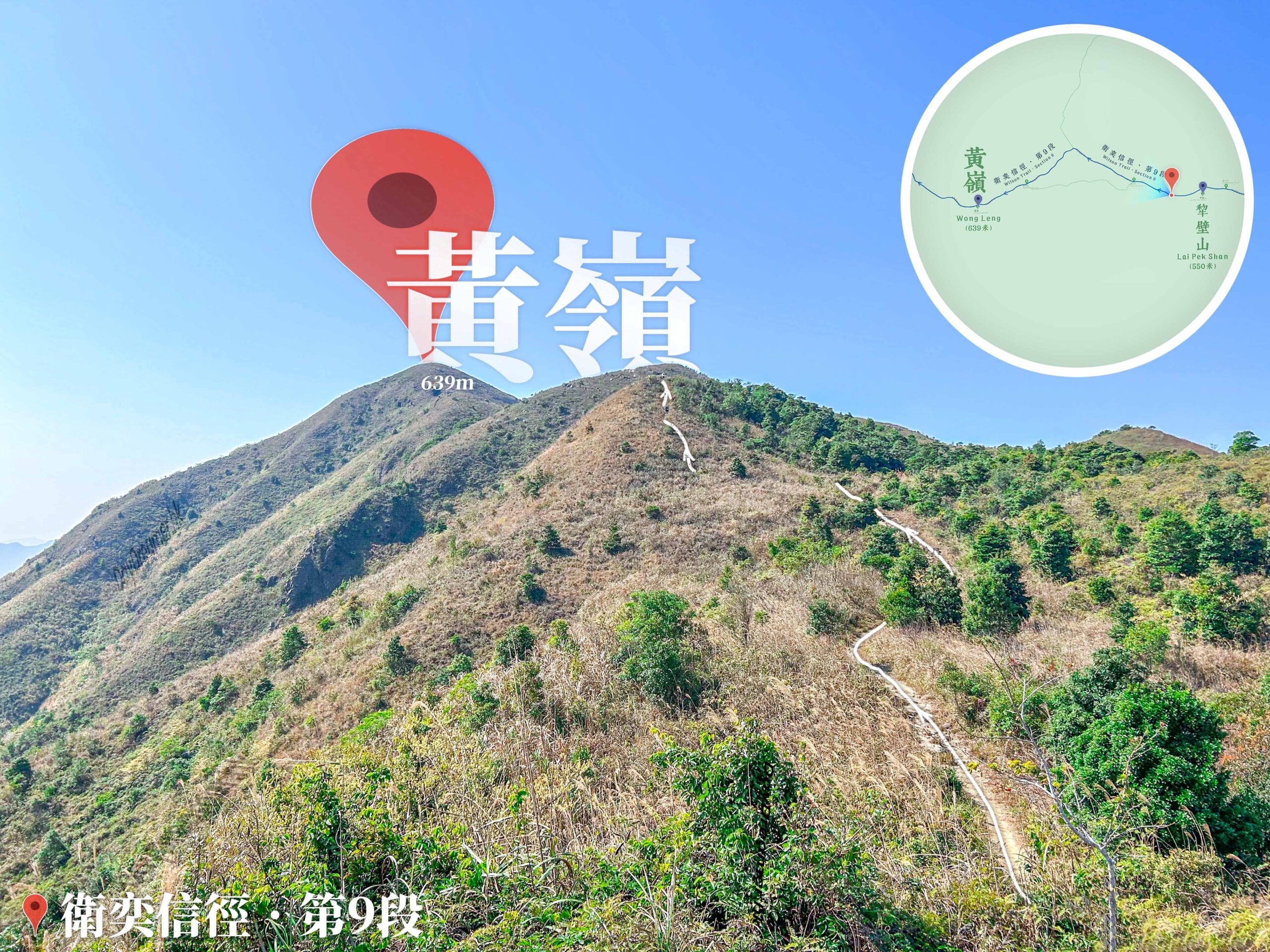 仰望 • 黃嶺