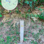 Wilson Trail, Stone Engraved  Signpost