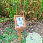Distance Post W112