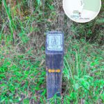 Wilson Trail, Wooden Engraved Signpost