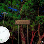 Tai Po Tau Drive – Road Sign