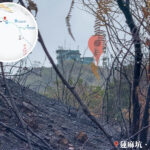 Charred Hillsides 《II》