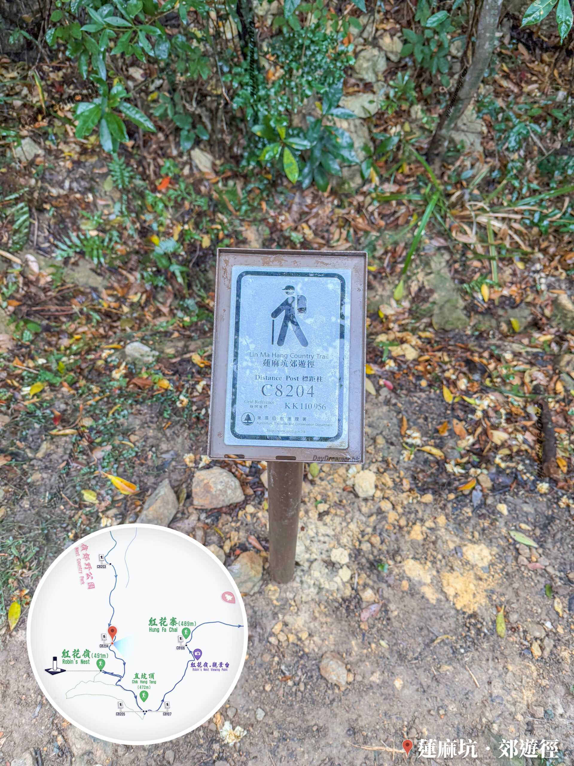 標距柱《C8204》