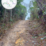 Robin’s Nest Trailhead 《I》