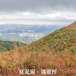 紅花嶺 • 郊遊徑《紅花嶺 / 紅花寨》【全景】