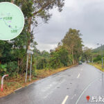 烏蛟騰路
