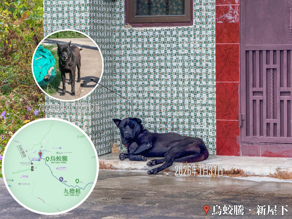 烏蛟騰 • 新屋下《小黑｜貳》