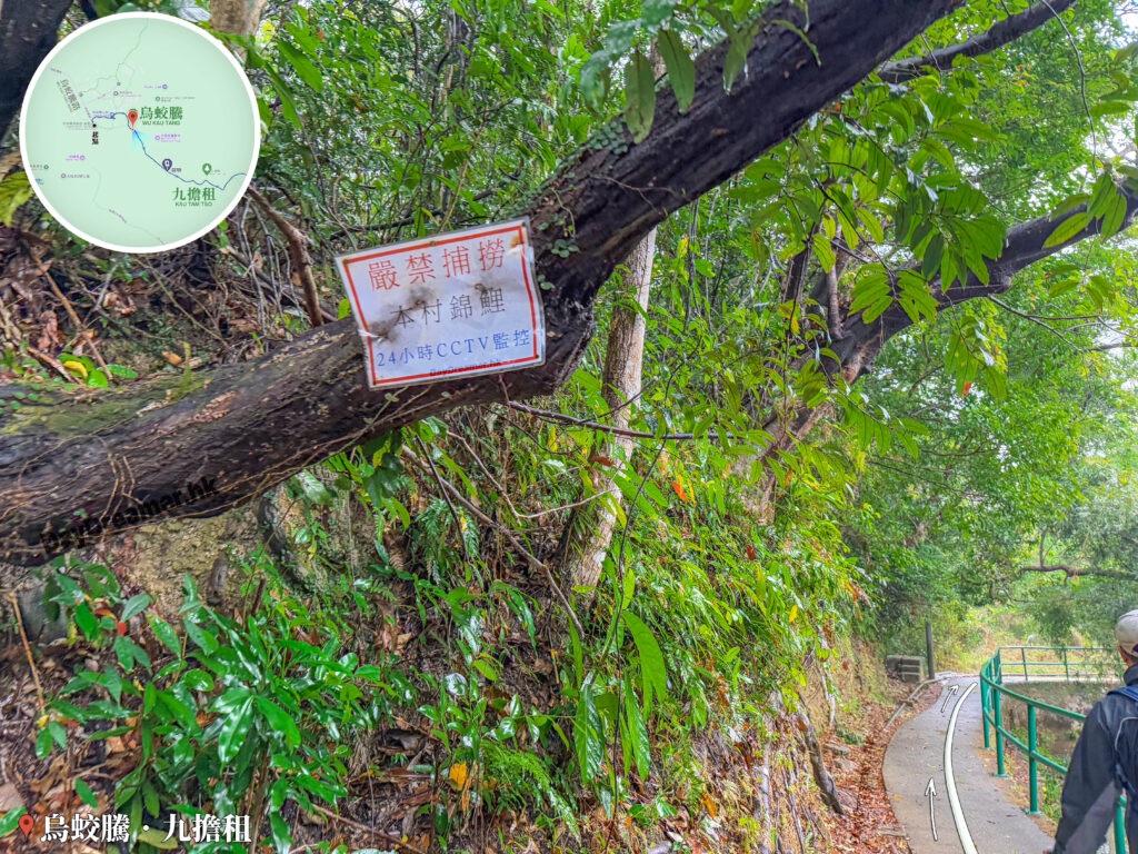 烏蛟騰 • 嶺背