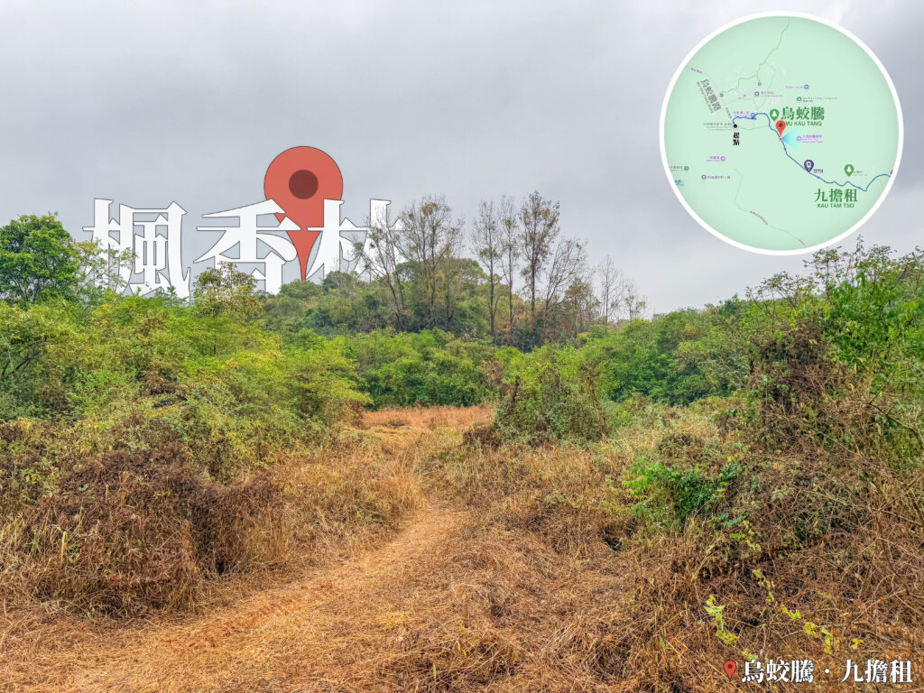 九担租 • 楓香林