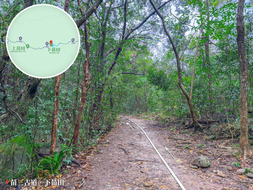 下苗田《路段｜貳》