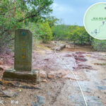 三椏涌《路牌》