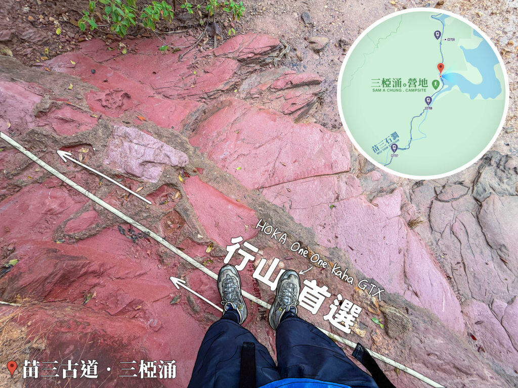 紅樹林《火紅岩石🪨》