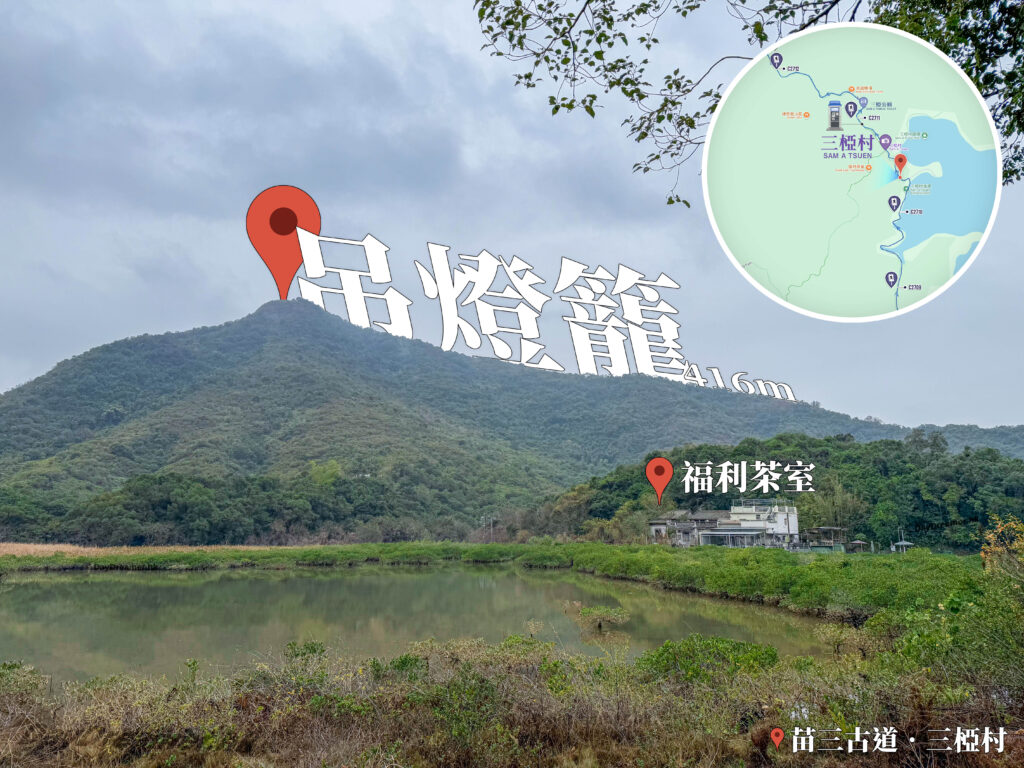 三椏村 • 村口《仰望望 • 吊燈籠🏮》