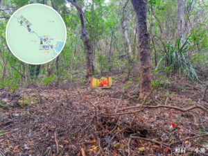 三椏村 • 土地守護神《伯公》｜叄