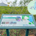 遊覽資訊牌《生機勃勃的紅樹林和泥灘》｜壹