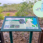 遊覽資訊牌《海水中的有花植物－短大葉藻》