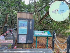 遊覽資訊牌《白花魚藤》