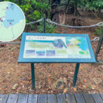 遊覽資訊牌《罕見的銀葉古林》