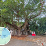 荔枝窩 • 土地守護神《伯公廟》｜貳