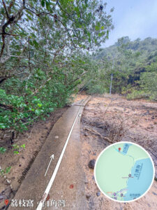 荔枝窩 • 白角灣