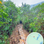 荔枝窩 • 山塢