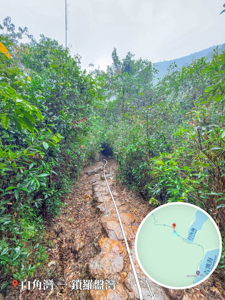 荔枝窩 • 山塢