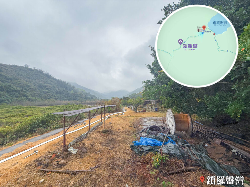 鎖羅盆灣《紅樹林與濕地》