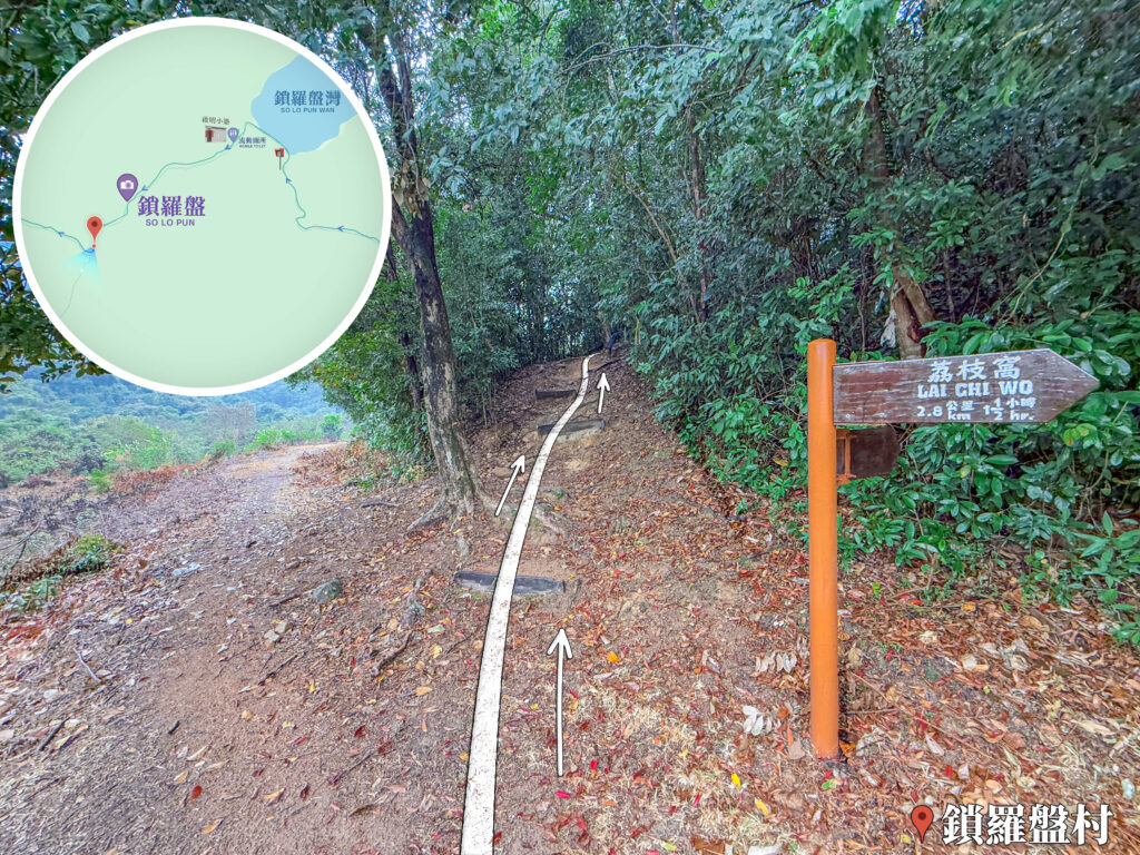 鎖羅盆－榕樹凹《分岔口》