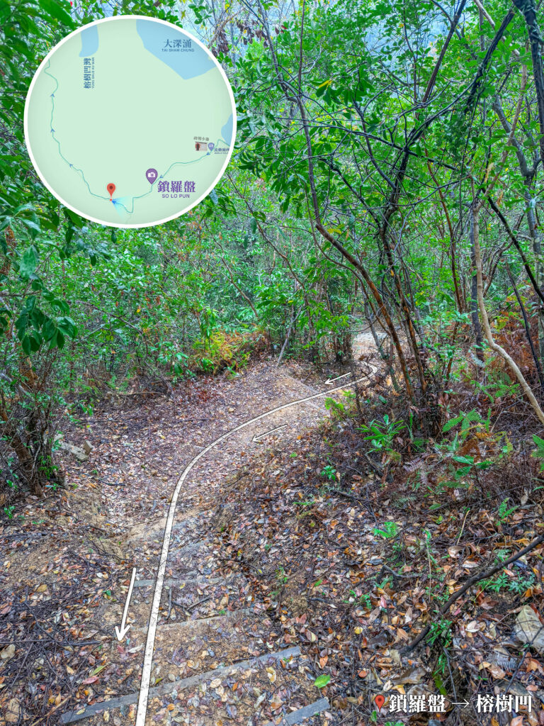鎖羅盆－榕樹凹徑《1》
