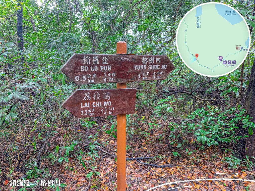 鎖羅盆－榕樹凹徑《3》