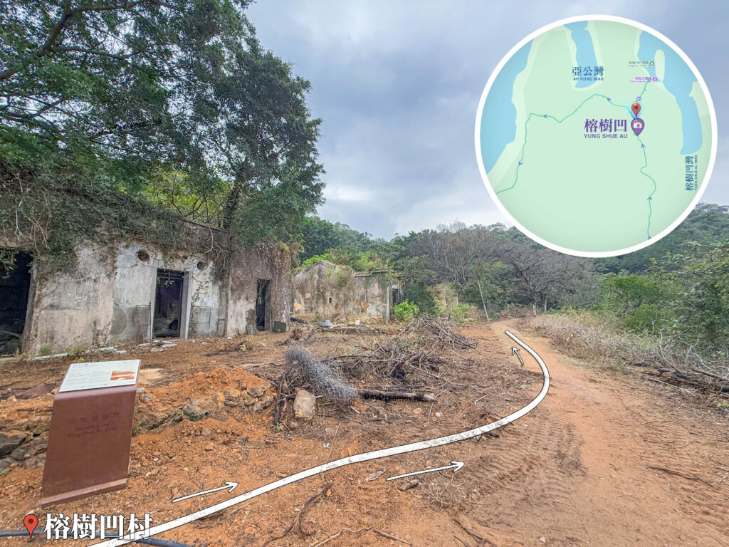 榕樹凹村《巨大細葉榕》｜叄