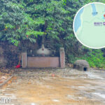 榕樹凹村《太王伯公 • 土地神》｜貳