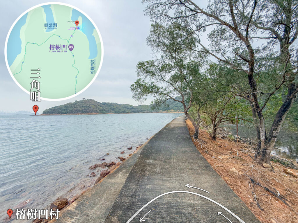 榕樹凹《海堤》｜叄