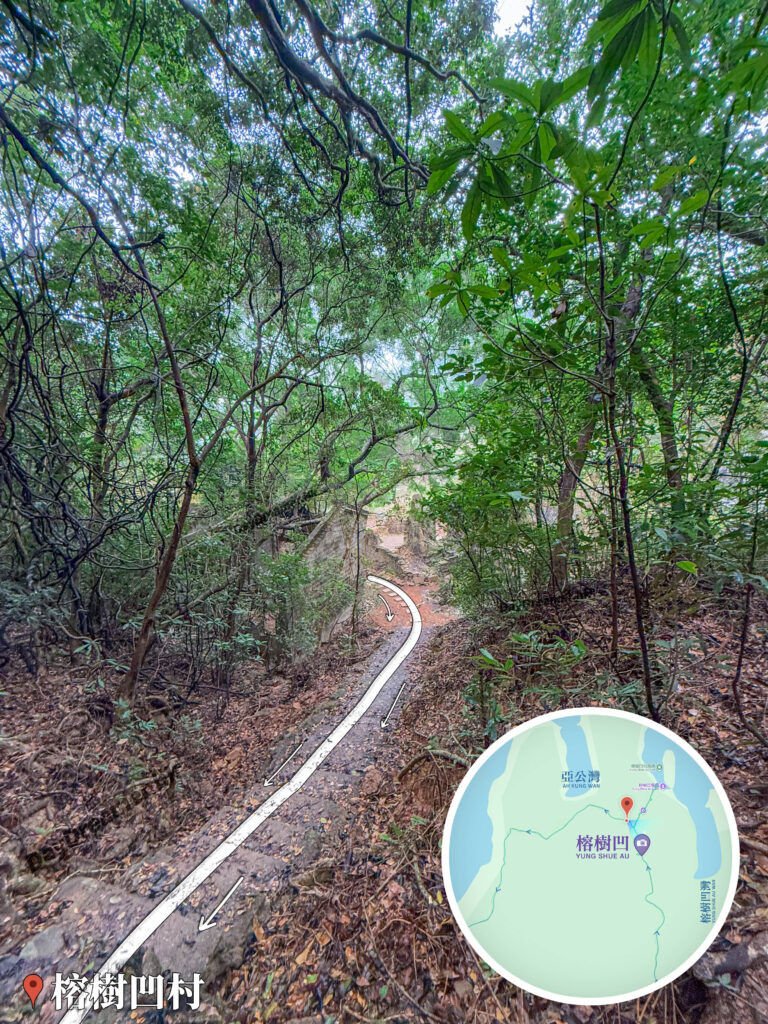 榕樹凹－谷埔徑《2》｜貳