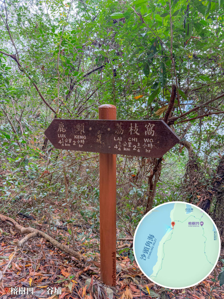 榕樹凹－谷埔徑《3》