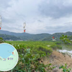 Kuk Po – Natural Scenery