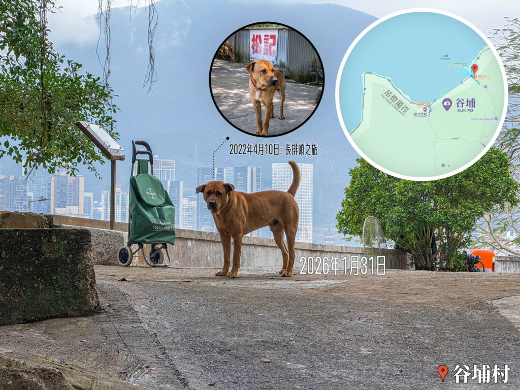 谷埔《松記士多》｜🐶 老黃