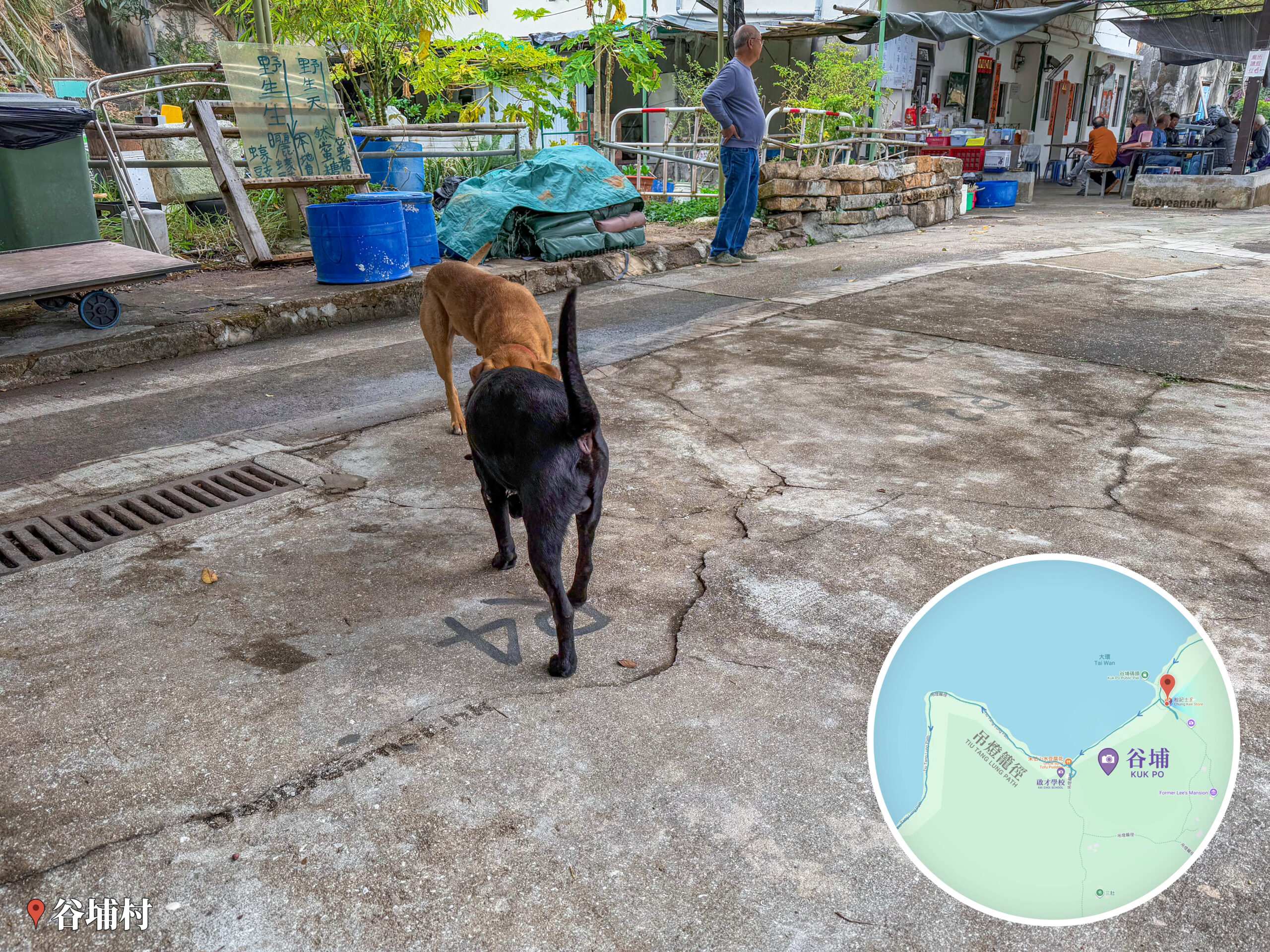 谷埔《松記士多》｜🐶 老黃與黑仔