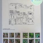 Kuk Po: Kuk Po Living Room – Exhibition | Sung’s Garden Original State Isometric Diagram