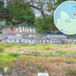 Fung Hang Village, Village Architecture and Layout
